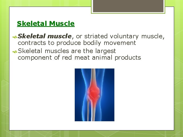 Skeletal Muscle Skeletal muscle, or striated voluntary muscle, contracts to produce bodily movement Skeletal Skeletal Muscle Skeletal muscle, or striated voluntary muscle, contracts to produce bodily movement Skeletal