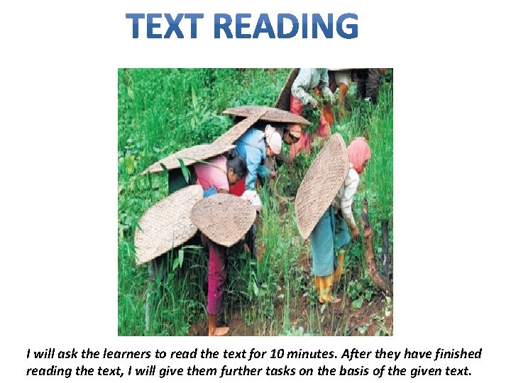 I will ask the learners to read the text for 10 minutes. After they