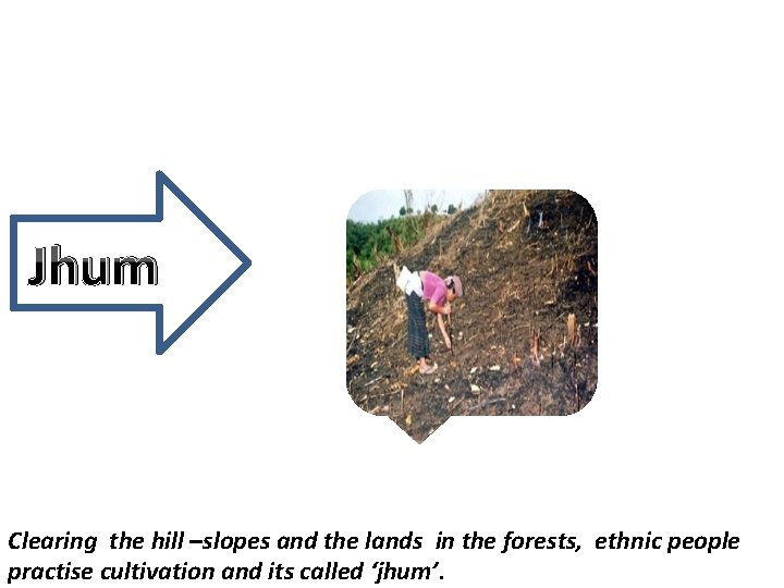 Jhum Clearing the hill –slopes and the lands in the forests, ethnic people practise