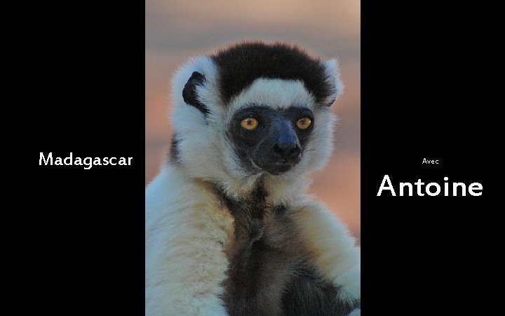 Madagascar Avec Antoine 