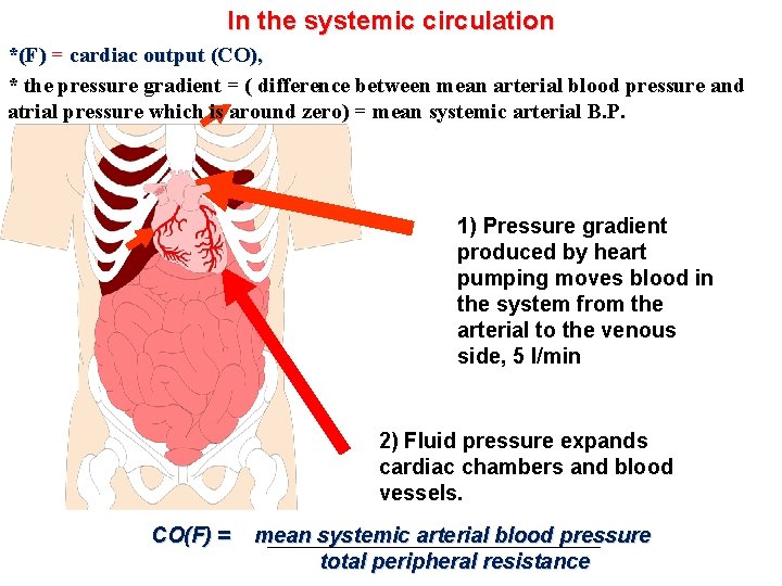 In the systemic circulation *(F) = cardiac output (CO), * the pressure gradient =