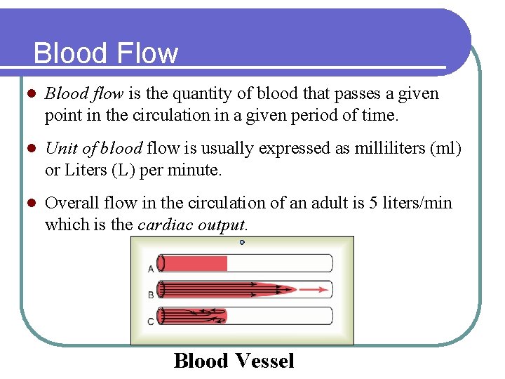 Blood Flow l Blood flow is the quantity of blood that passes a given