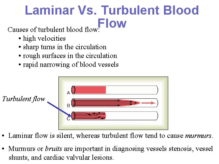 Laminar Vs. Turbulent Blood Flow Causes of turbulent blood flow: • high velocities •