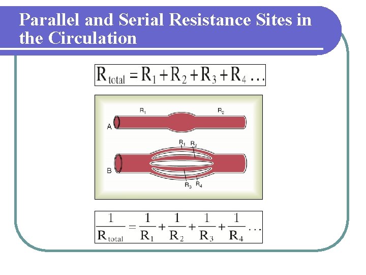 Parallel and Serial Resistance Sites in the Circulation 