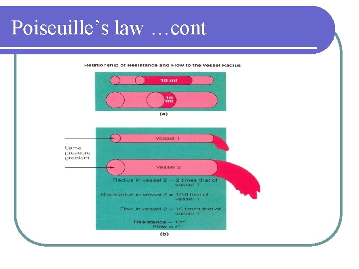 Poiseuille’s law …cont 