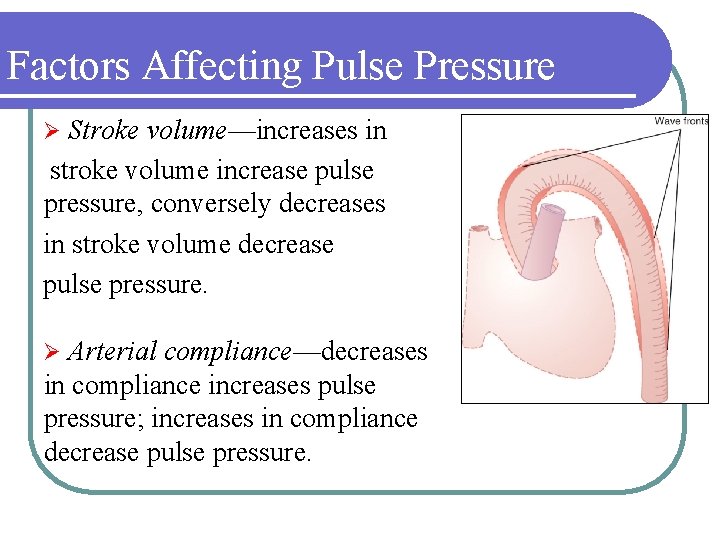 Factors Affecting Pulse Pressure Stroke volume—increases in stroke volume increase pulse pressure, conversely decreases
