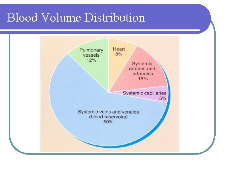Blood Volume Distribution 