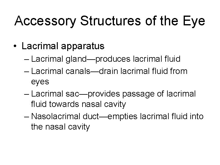 Accessory Structures of the Eye • Lacrimal apparatus – Lacrimal gland—produces lacrimal fluid –