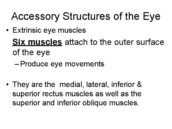 Accessory Structures of the Eye • Extrinsic eye muscles Six muscles attach to the