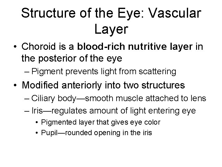 Structure of the Eye: Vascular Layer • Choroid is a blood-rich nutritive layer in