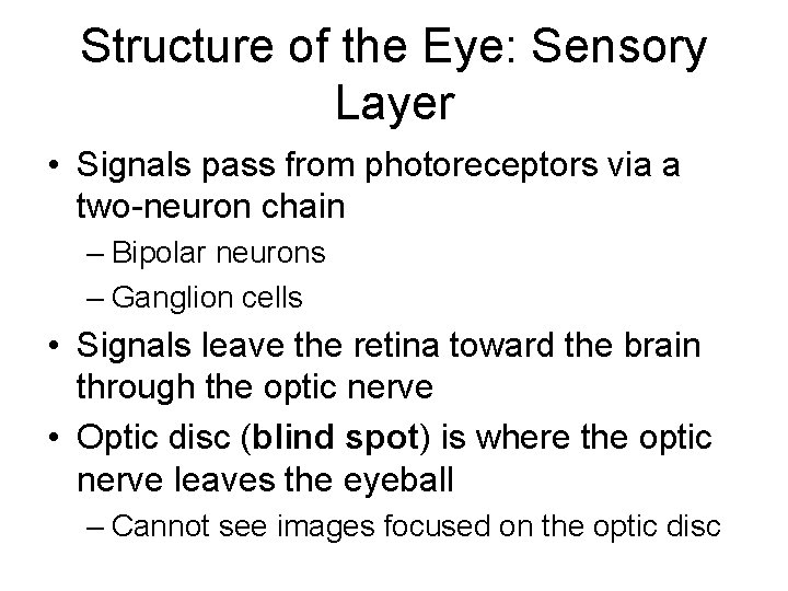 Structure of the Eye: Sensory Layer • Signals pass from photoreceptors via a two-neuron