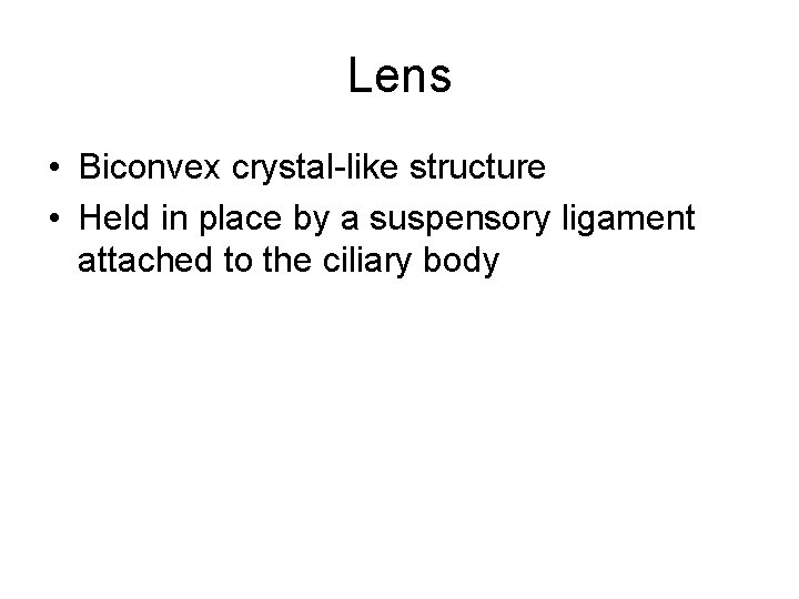 Lens • Biconvex crystal-like structure • Held in place by a suspensory ligament attached