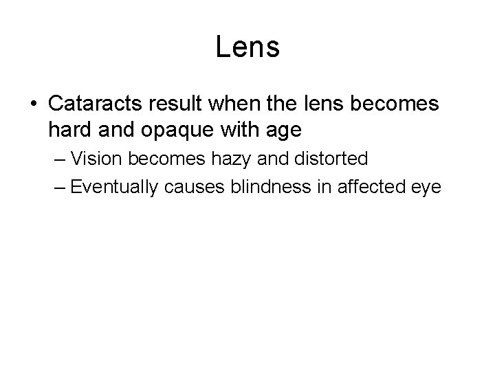 Lens • Cataracts result when the lens becomes hard and opaque with age –