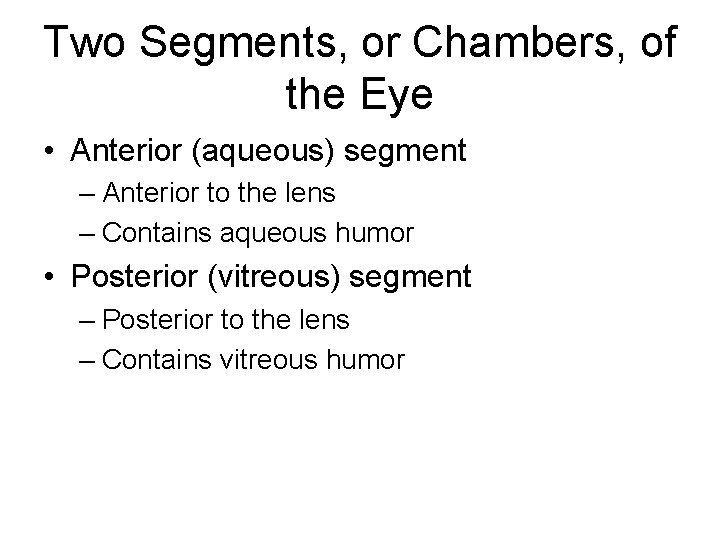 Two Segments, or Chambers, of the Eye • Anterior (aqueous) segment – Anterior to