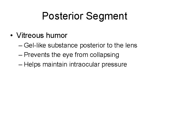 Posterior Segment • Vitreous humor – Gel-like substance posterior to the lens – Prevents