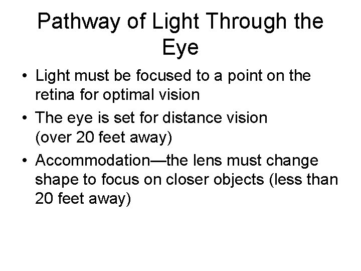 Pathway of Light Through the Eye • Light must be focused to a point