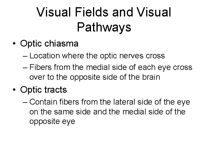 Visual Fields and Visual Pathways • Optic chiasma – Location where the optic nerves