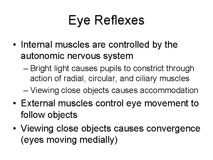 Eye Reflexes • Internal muscles are controlled by the autonomic nervous system – Bright