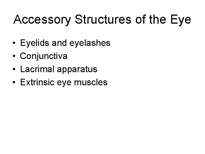 Accessory Structures of the Eye • • Eyelids and eyelashes Conjunctiva Lacrimal apparatus Extrinsic