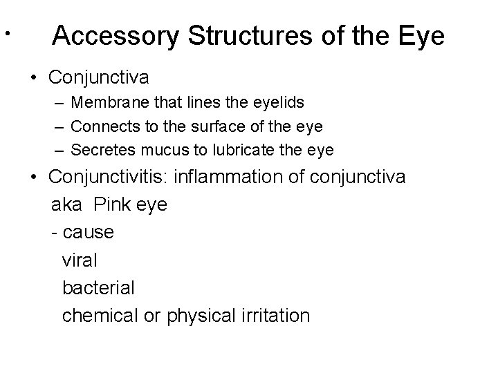  • Accessory Structures of the Eye • Conjunctiva – Membrane that lines the