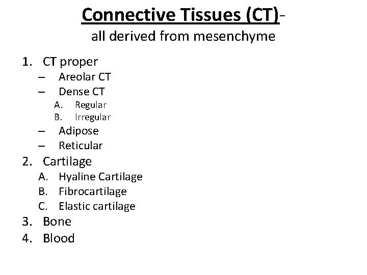 Connective Tissues (CT)all derived from mesenchyme 1. CT proper – – Areolar CT Dense