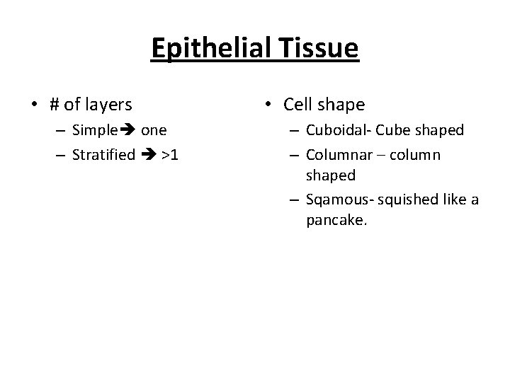 Epithelial Tissue • # of layers – Simple one – Stratified >1 • Cell