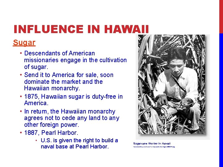 INFLUENCE IN HAWAII Sugar • Descendants of American missionaries engage in the cultivation of