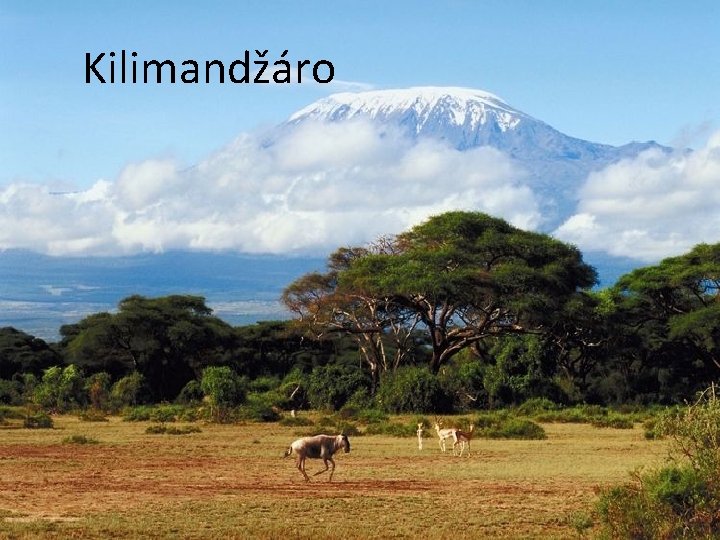 Kilimandžáro 