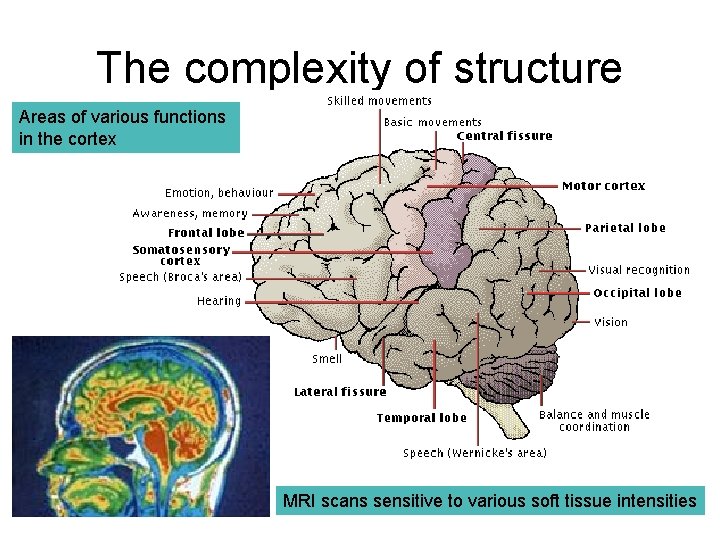 What is Learning An introduction to the SkillBased