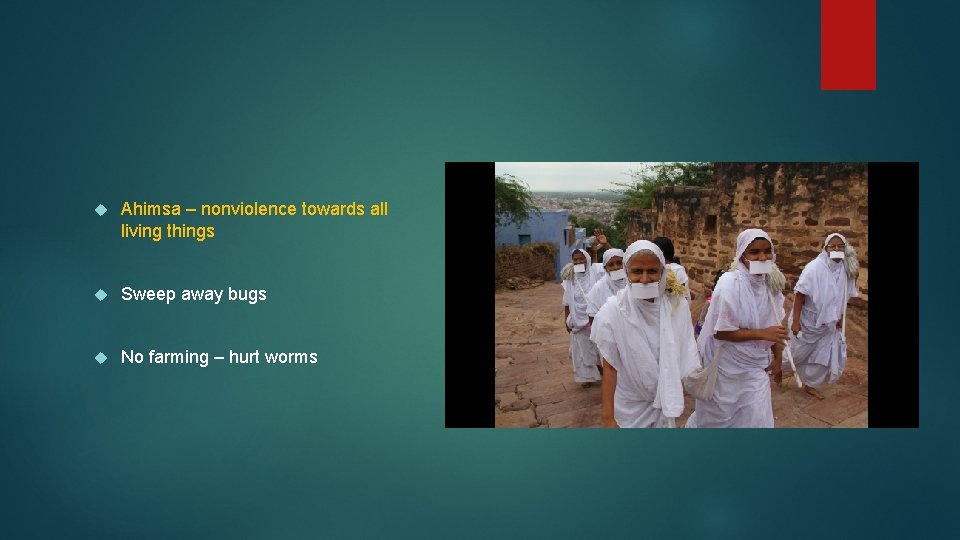 Ahimsa – nonviolence towards all living things Sweep away bugs No farming – Ahimsa – nonviolence towards all living things Sweep away bugs No farming –
