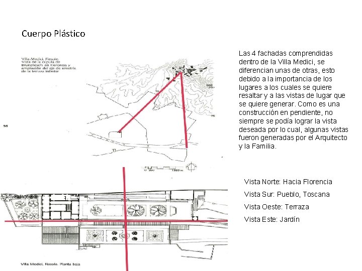 Cuerpo Plástico Las 4 fachadas comprendidas dentro de la Villa Medici, se diferencian unas