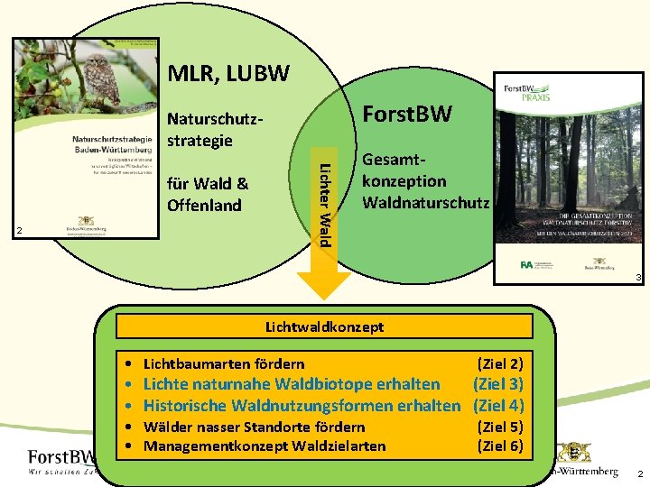 MLR, LUBW Forst. BW Naturschutzstrategie Lichter Wald für Wald & Offenland 2 Gesamtkonzeption Waldnaturschutz