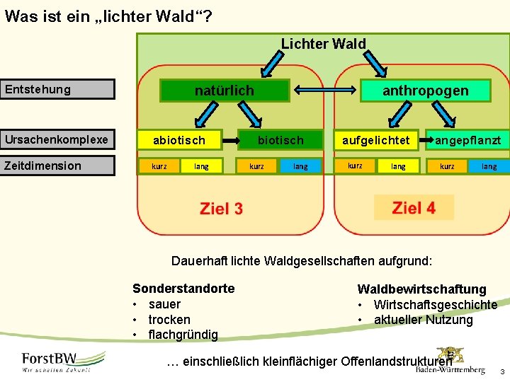 Was ist ein „lichter Wald“? Lichter Wald Entstehung natürlich Ursachenkomplexe abiotisch Zeitdimension kurz lang