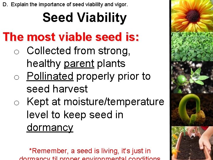 D. Explain the importance of seed viability and vigor. Seed Viability The most viable