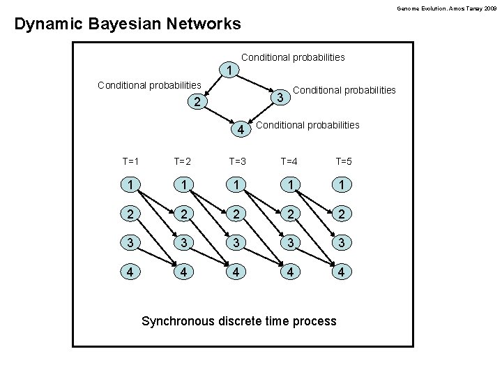 Genome Evolution. Amos Tanay 2009 Dynamic Bayesian Networks Conditional probabilities 1 Conditional probabilities 3