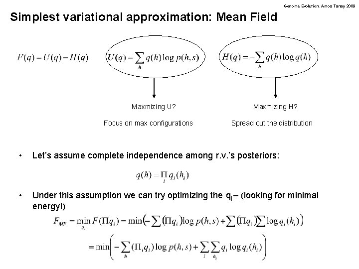 Genome Evolution. Amos Tanay 2009 Simplest variational approximation: Mean Field Maxmizing U? Focus on