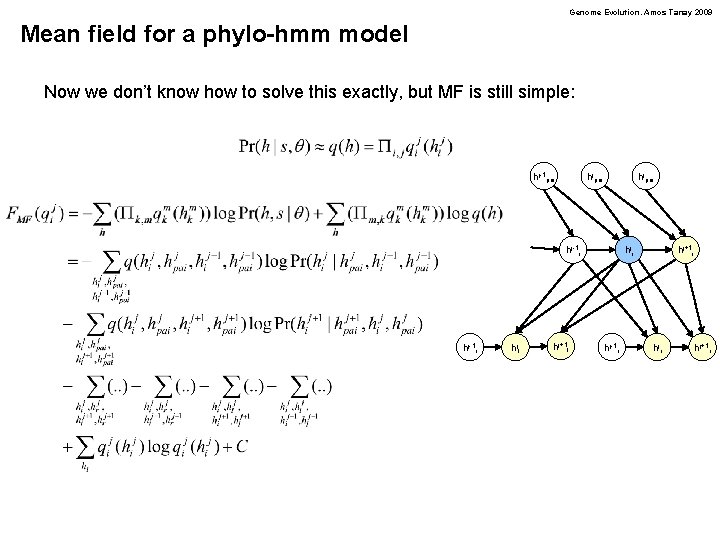 Genome Evolution. Amos Tanay 2009 Mean field for a phylo-hmm model Now we don’t