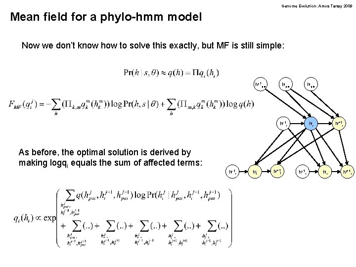 Genome Evolution. Amos Tanay 2009 Mean field for a phylo-hmm model Now we don’t