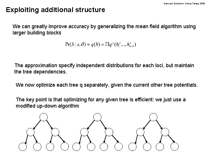 Genome Evolution. Amos Tanay 2009 Exploiting additional structure We can greatly improve accuracy by