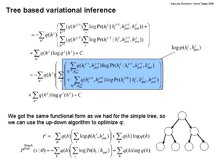 Genome Evolution. Amos Tanay 2009 Tree based variational inference We got the same functional