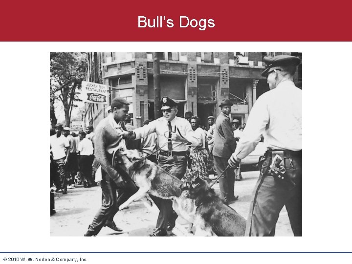Bull’s Dogs © 2016 W. W. Norton & Company, Inc. 