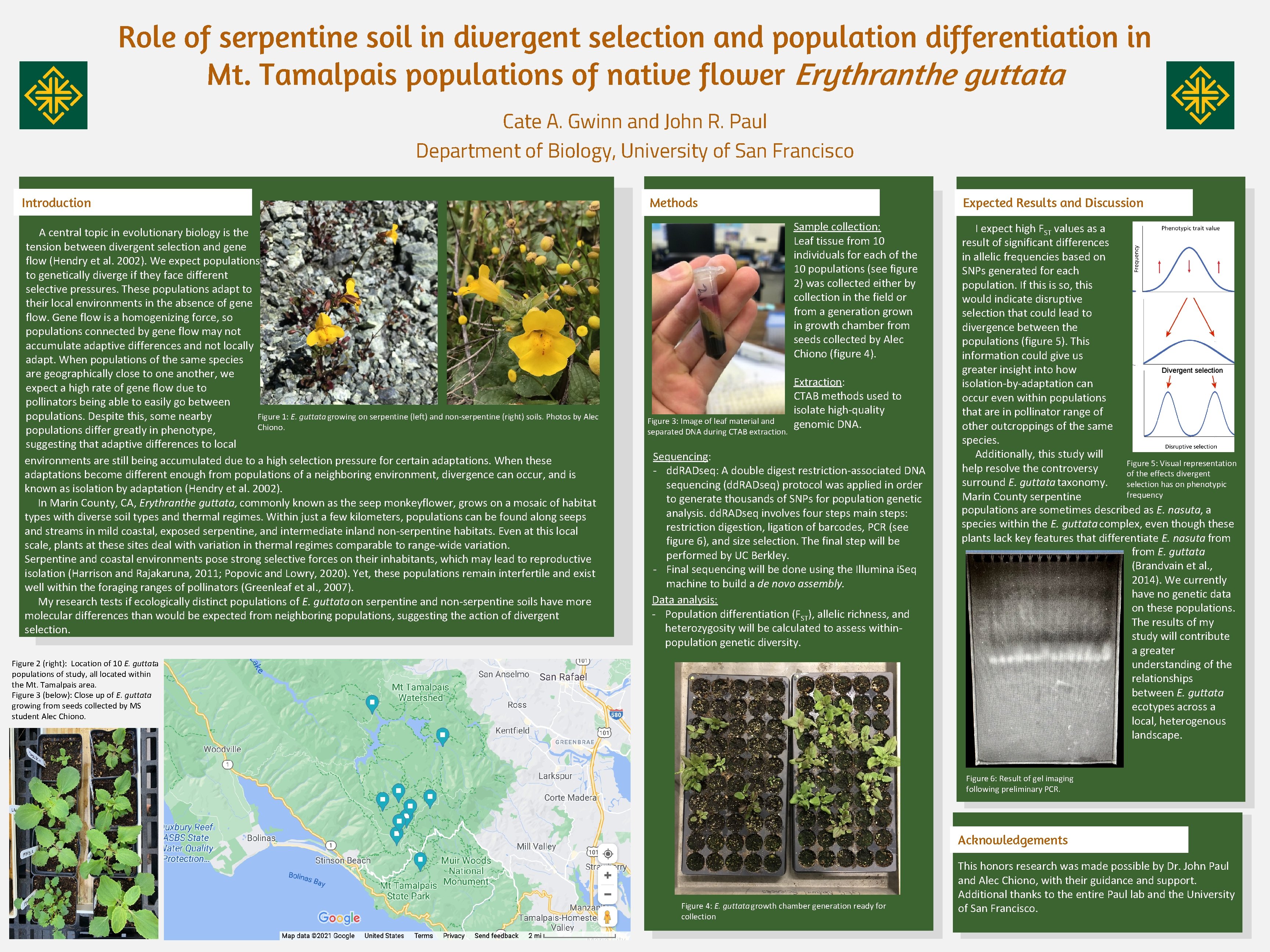 Role of serpentine soil in divergent selection and population differentiation in Mt. Tamalpais populations