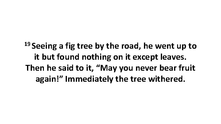 19 Seeing a fig tree by the road, he went up to it but