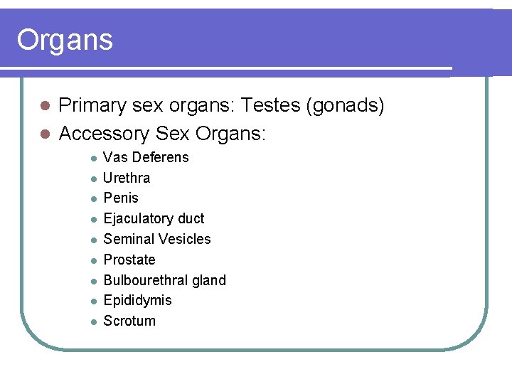 Organs Primary sex organs: Testes (gonads) l Accessory Sex Organs: l l l l