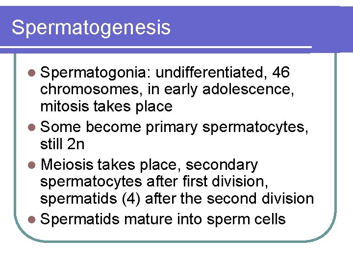 Spermatogenesis l Spermatogonia: undifferentiated, 46 chromosomes, in early adolescence, mitosis takes place l Some