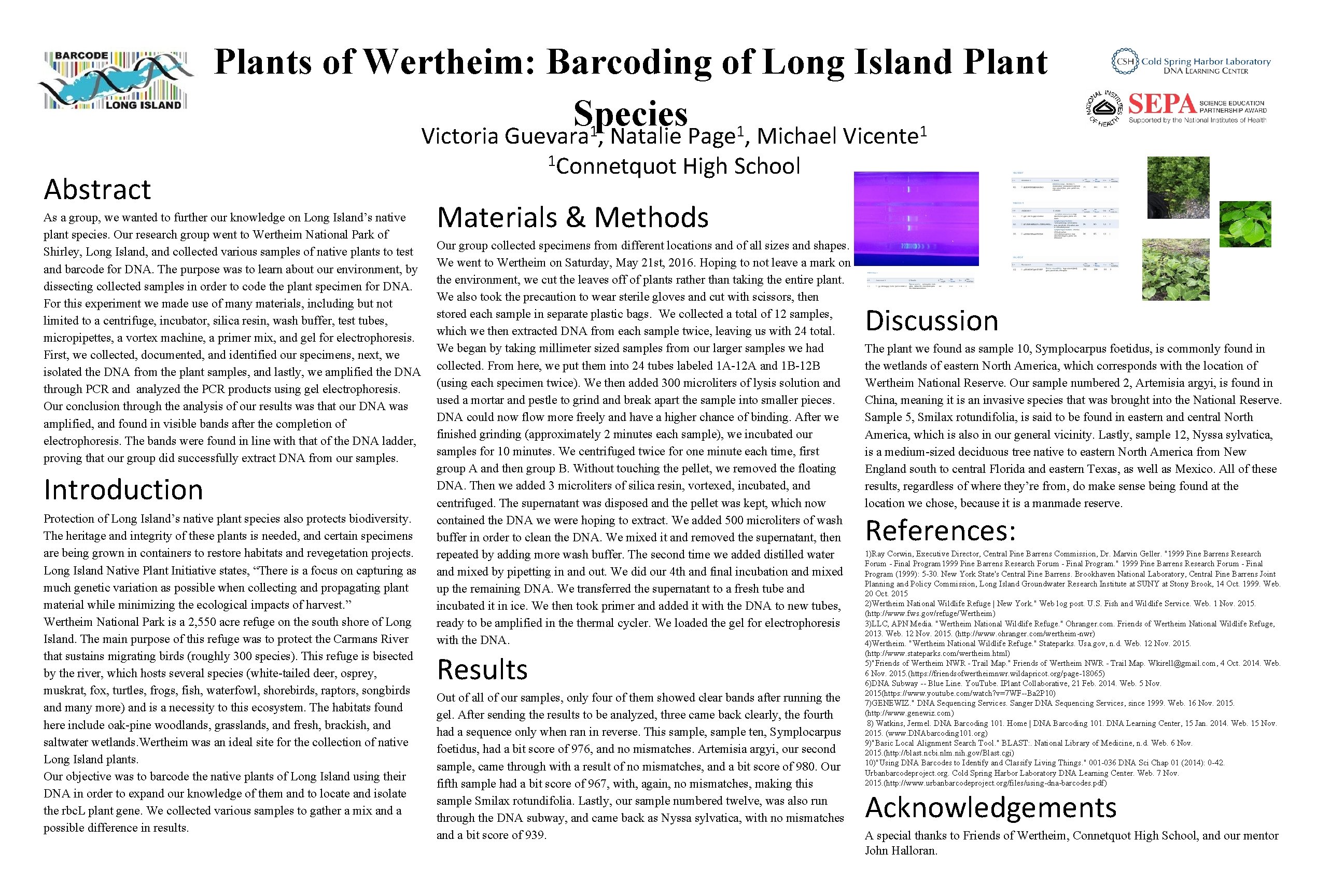 Plants of Wertheim: Barcoding of Long Island Plant Species 1 1 1 Victoria Guevara