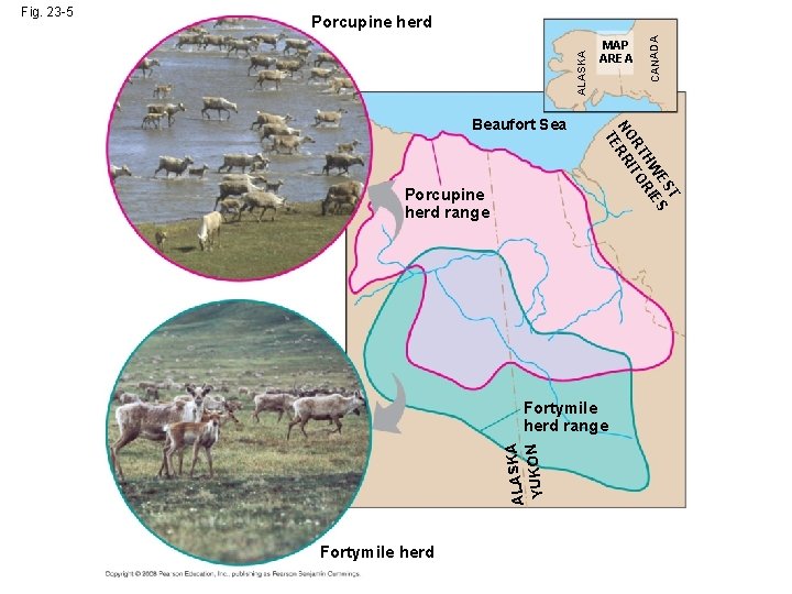 Porcupine herd range T ES ES HW RI RT ITO NO RR TE Beaufort