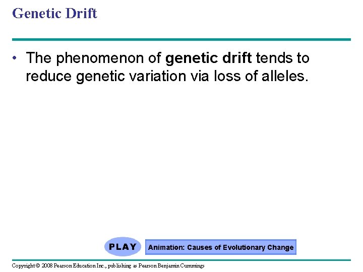 Genetic Drift • The phenomenon of genetic drift tends to reduce genetic variation via