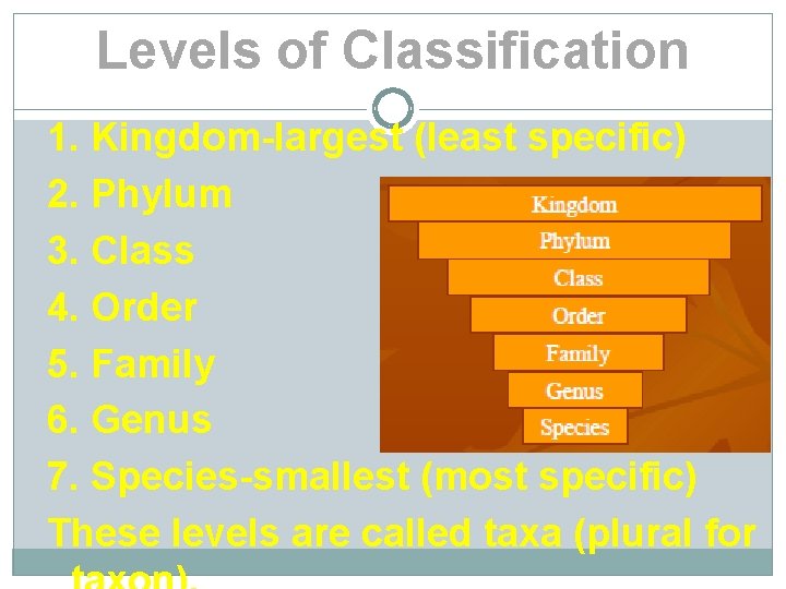 Practice Classification Taxonomy Classification Carolus Linnaeus developed the scientific naming