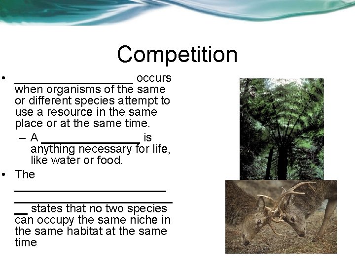 Competition • _________ occurs when organisms of the same or different species attempt to